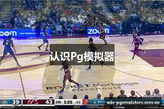 认识Pg模拟器